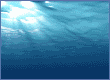 gif of moving water from below